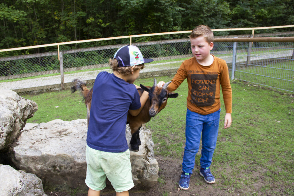 Tierpark Bad Zurzach