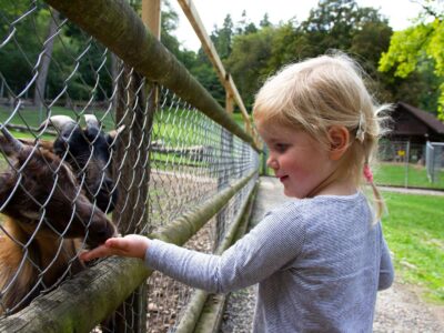 Tierpark Bad Zurzach